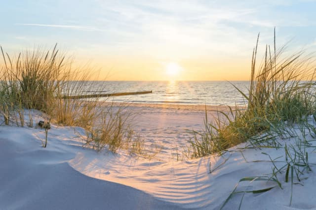 Paysages XXL