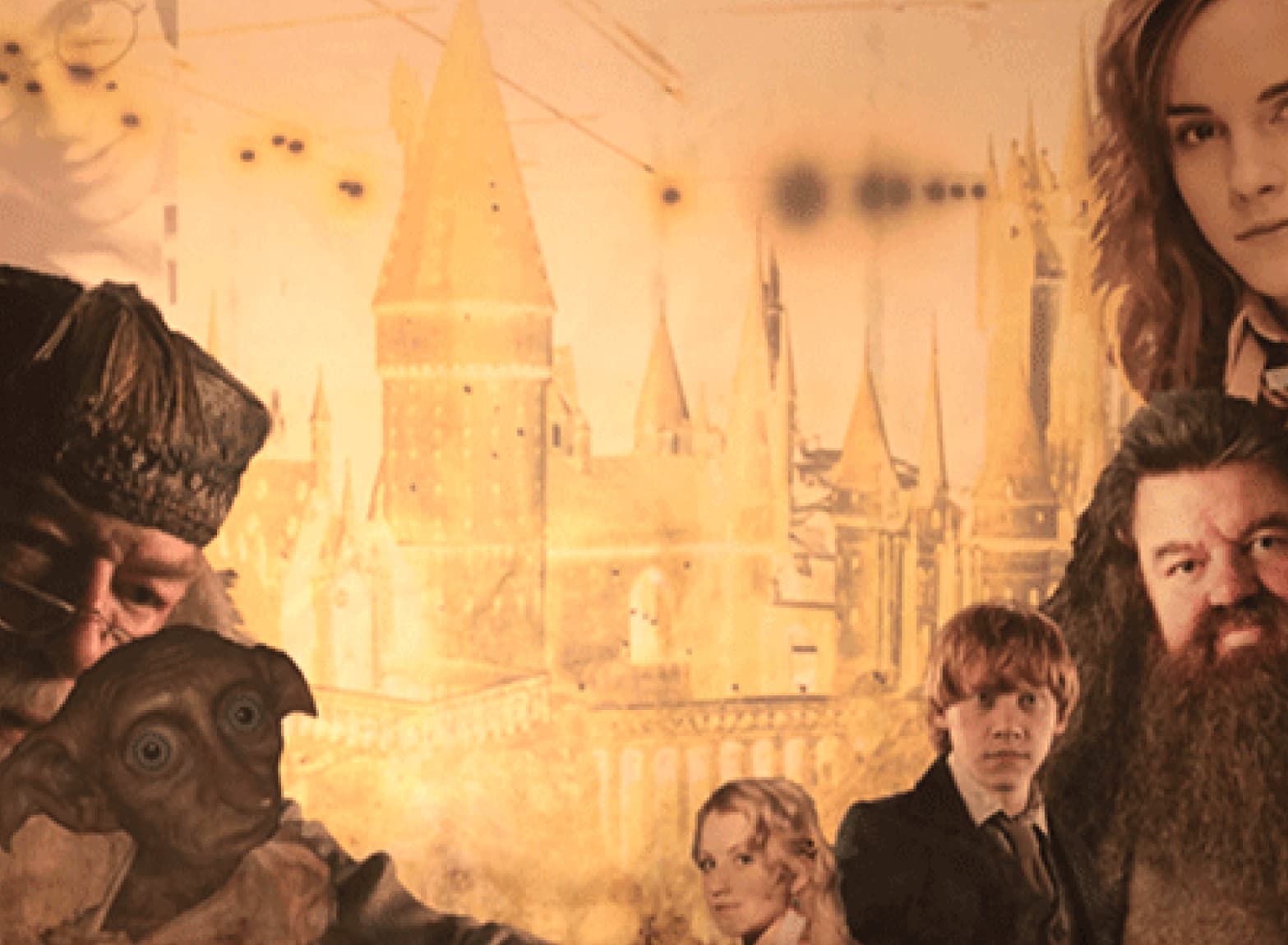 Toile anniversaire Harry Potter